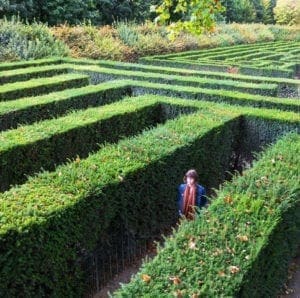 walkinginahedgemaze