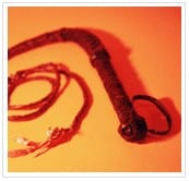 image of a whip